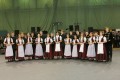 2014 Szalagavat�