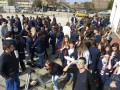 2015 Napfogyatkoz�s